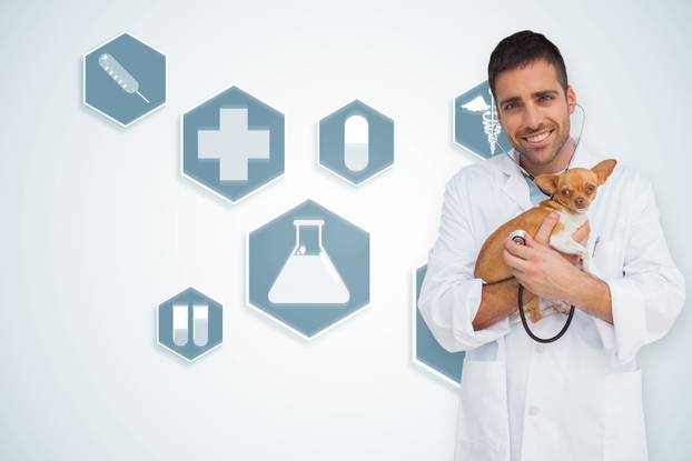 Happy,Vet,Checking,Dog,With,Stethoscope,Against,Blue,Medical,Interface