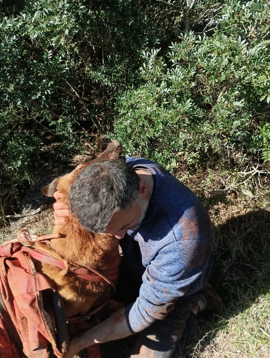Pas upao u jamu na Dugom otoku, a za njim pao i vlasnik. HGSS ih izvukao s 20 metara