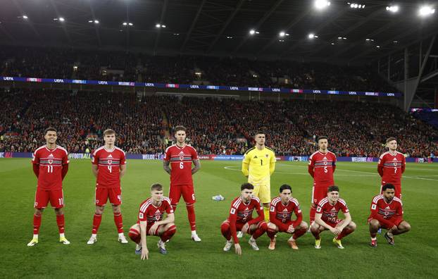 FIFA World Cup - UEFA Qualifiers - Semi Final - Wales v Bosnia and Herzegovina