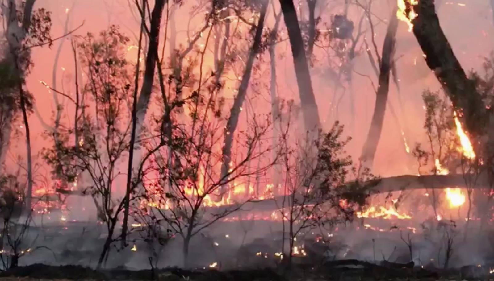 A fire blazes across bush in Newnes Plateau