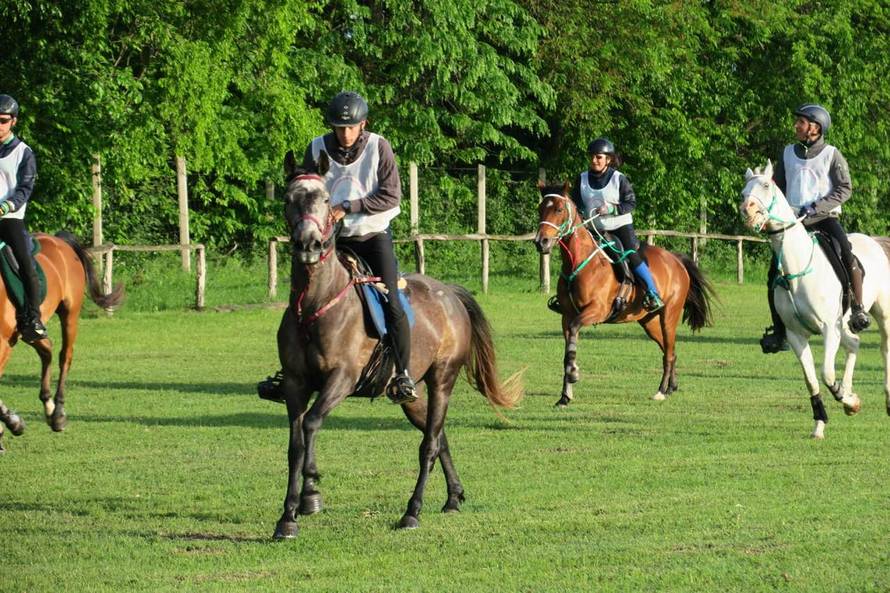 Ljubav u sedlu: Mene i Denisse spojila je ljubav prema konjima