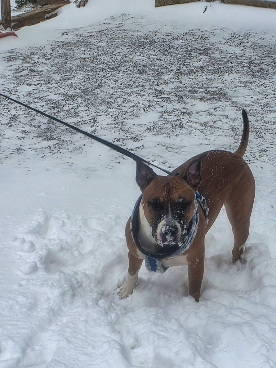 Općinska komunalka sama 'izlopatala' snijeg sa staze: 'Nema nikakve drame u tome'