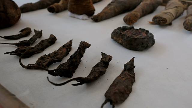 Mummified mice and falcons on display at the newly discovered burial site, the Tomb of Tutu, at al-Dayabat, Sohag