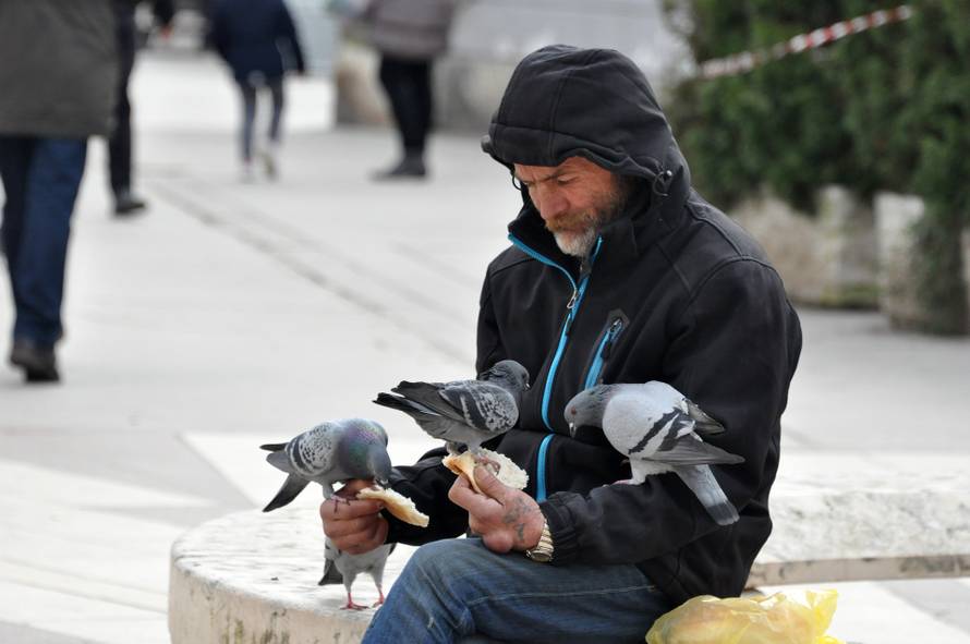 Pula: U centru grada golubovi su od prolaznika 'dobili ručak'