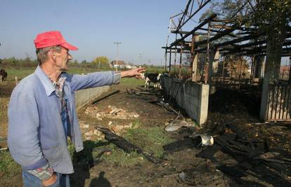 Vinkovci: Štakor pregrizao instalacije i zapalio štalu