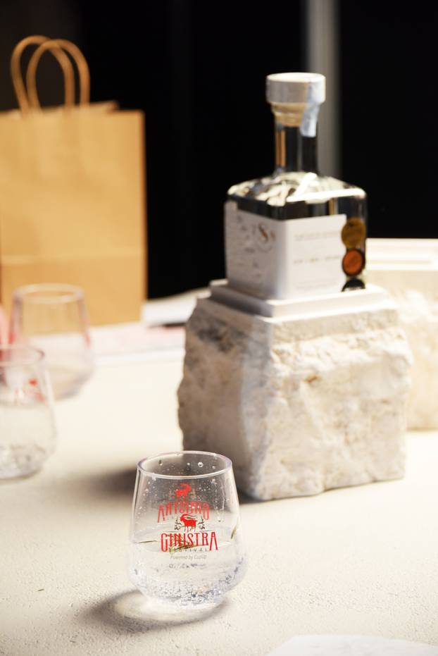 Rovinj: Svečano otvaranje 4. izdanja GinIstre