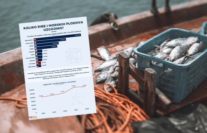 Španjolska prva po proizvodnji ribe, ali i Hrvatska je u top 10