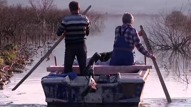 VIDEO Farmeri se sjetno voze čamcem po plantaži badema od koje su nekada solidno živio