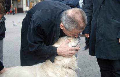 Gradonačelnik Bandić: Nađite i sankcionirajte trovače pasa!