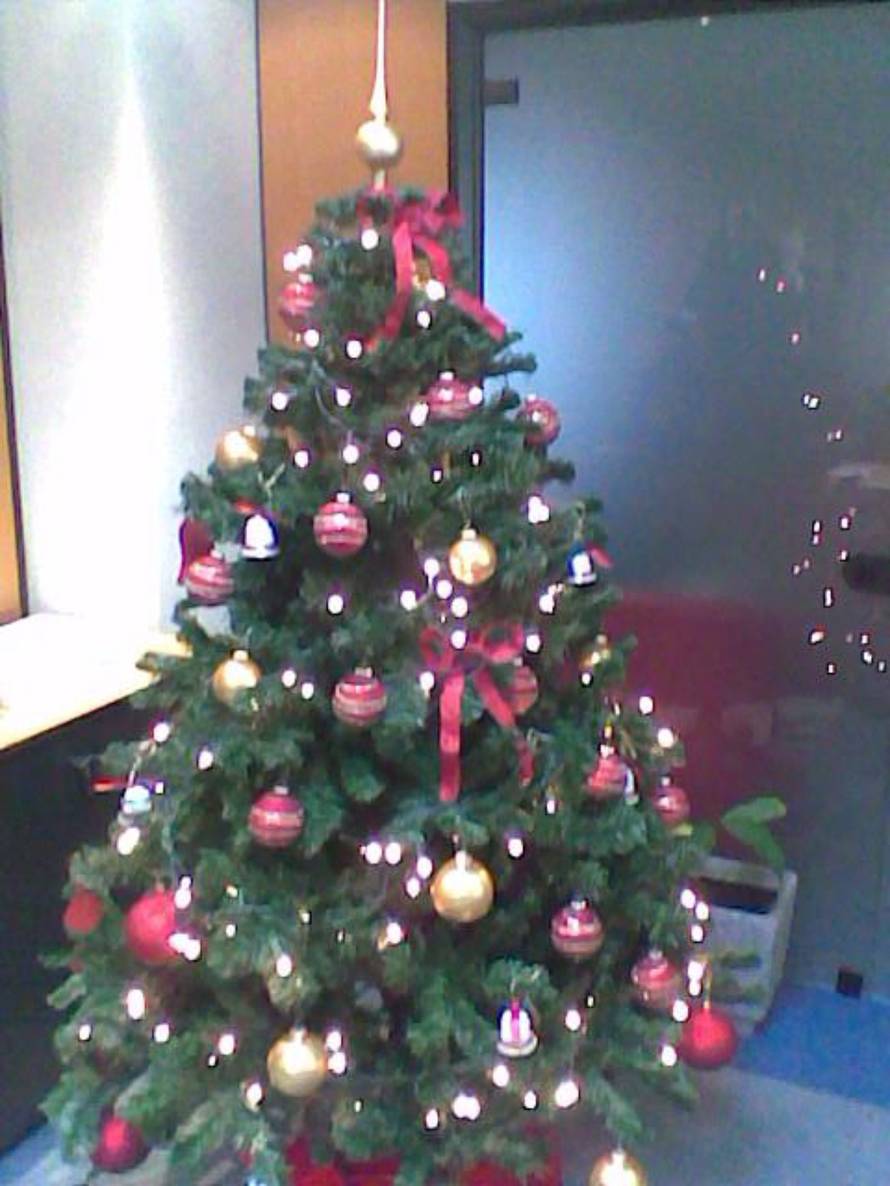 Šaljite fotografije božićnih jelki i osvojite vrijednu nagradu...