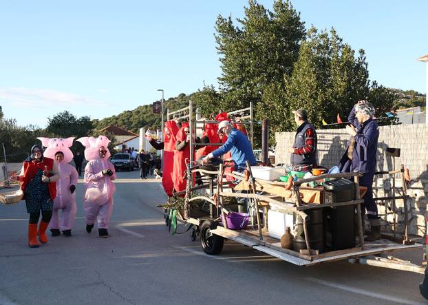 Jezera: Maškarana povorka prodefilirala je Jezerima