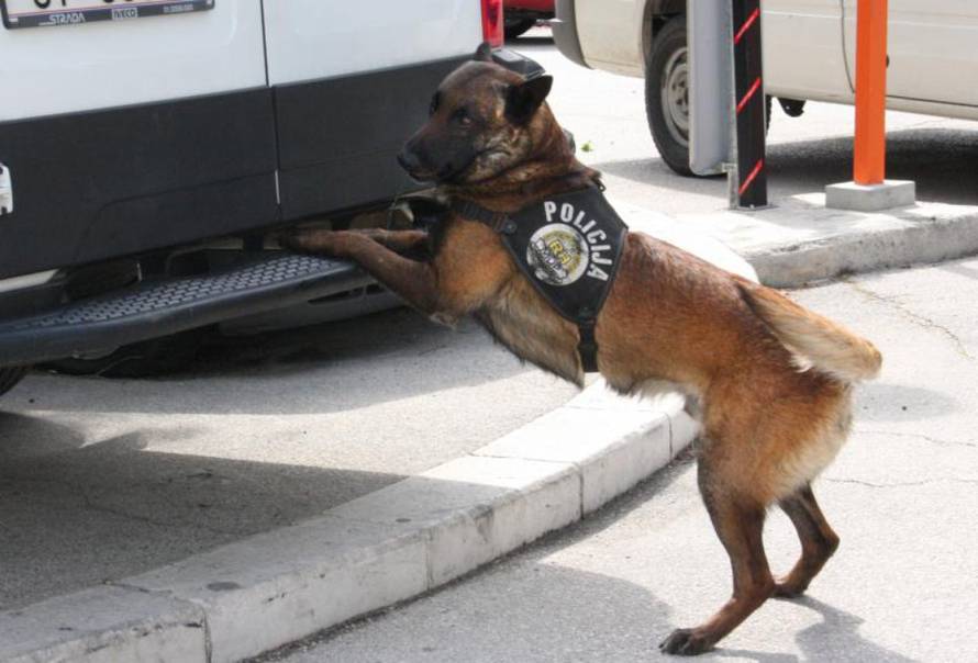 Ivana Ivanović/PIXSELL