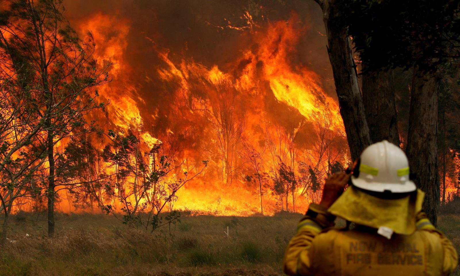 A firefighter on property protection watches the progress of bushfires in Old Bar, New South Wales