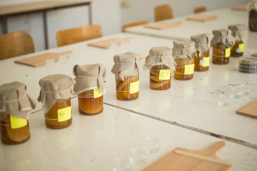 Maja je jedina biodizajnerica u regiji: 'Materijale za odjeću radim od algi, gljiva i bakterija'