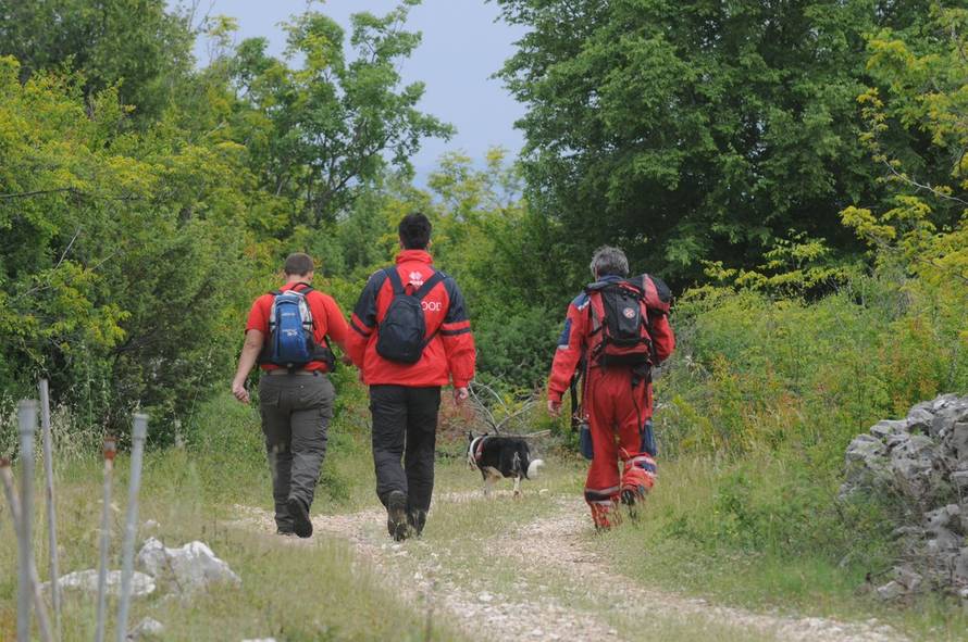 Zoran Grizelj/PIXSELL