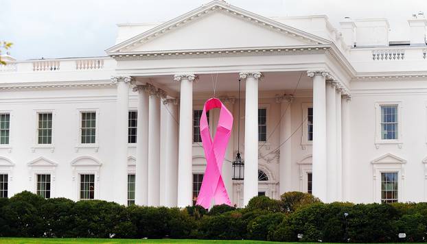 Large pink ribbon hangs at the White House- Washington