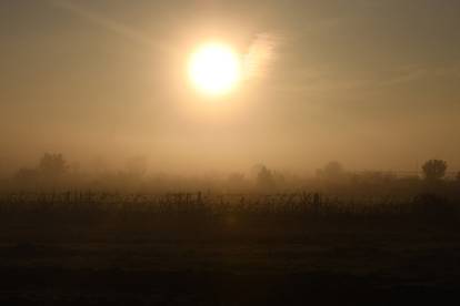 Čarobni prizori: Maglovita jutra okupana s prvim zrakama sunca