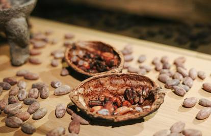 Znanost iza čokolade: Je li ona stvarno zdrava?