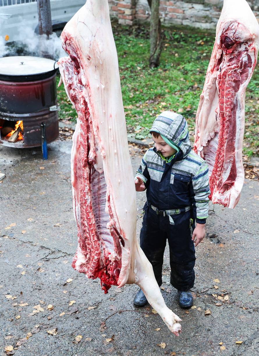 Sudbina čvaraka u Tominim je rukama: 'Mali je pravi majstor!'