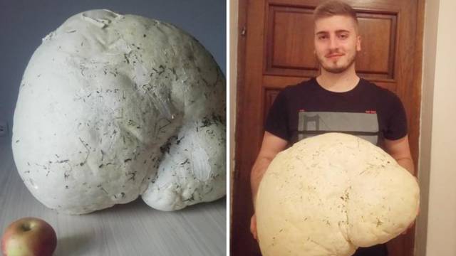 'Gljivu tešku 4.5 kilograma planiramo podijeliti i pojesti'