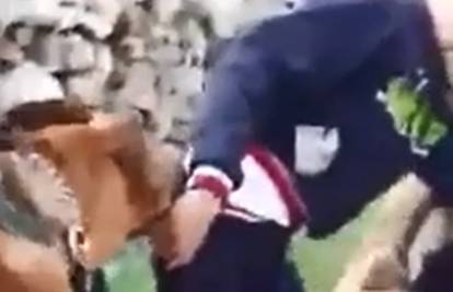 Izraelski vojnici nahuškali pse na palestinskog tinejdžera (16)