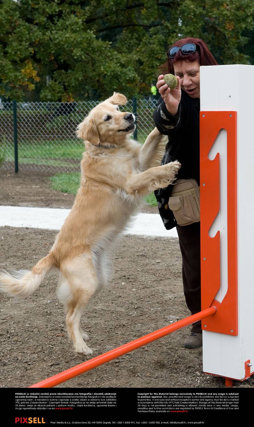 Davor Višnjić/Pixsell