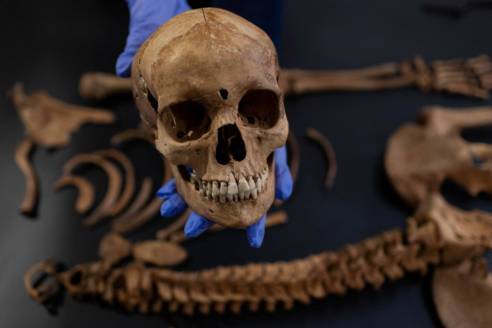 Archaeologists uncover 'vampires' in Polish graveyard