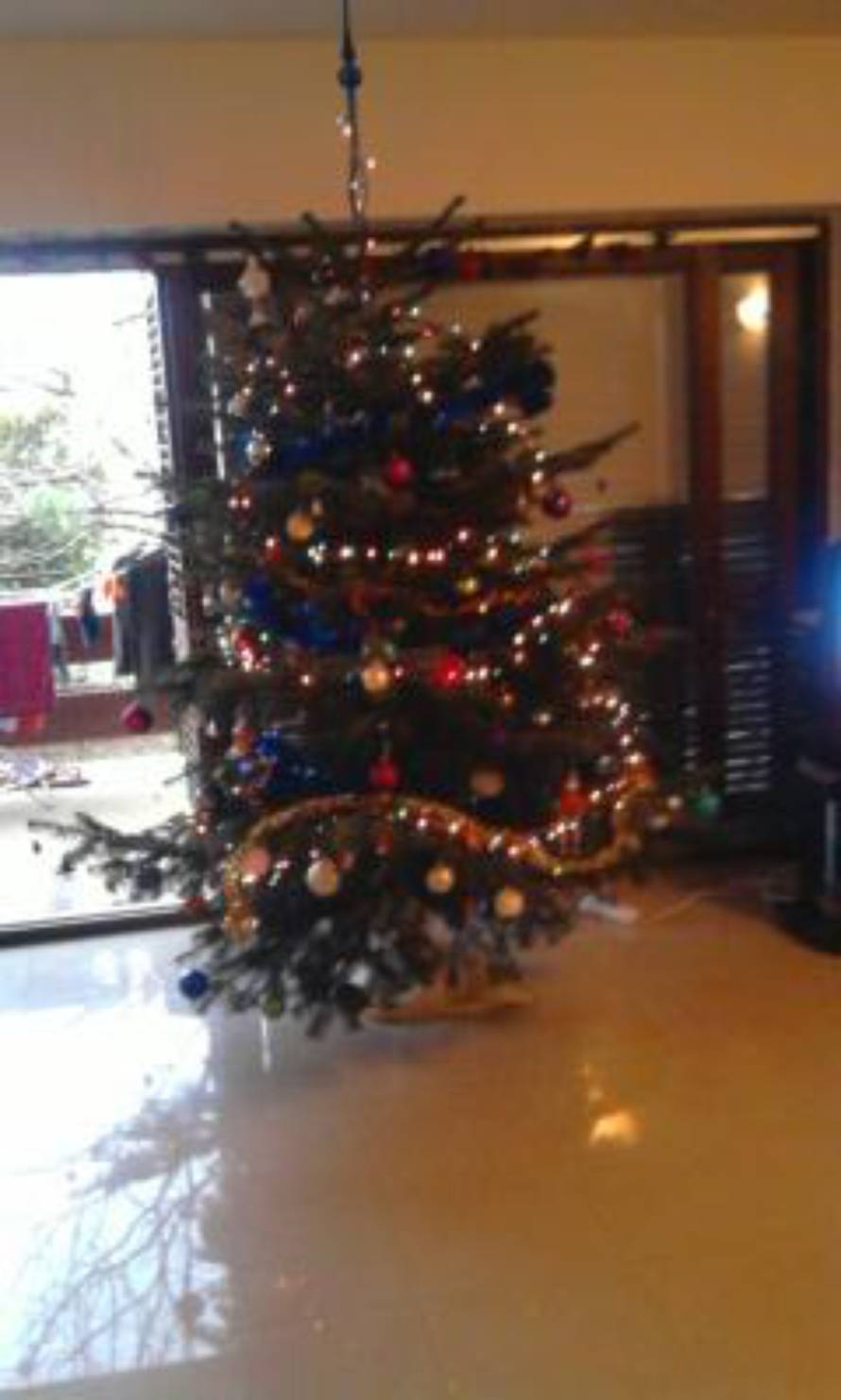 Šaljite fotografije božićnih jelki i osvojite vrijednu nagradu...