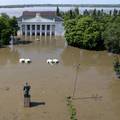 Ukrajina: Ovo su novi podaci o ruskim gubicima; Stotine tisuća ljudi u problemu zbog poplava