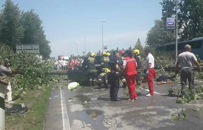 Stablo smrskalo auto: Poginula žena, suvozač teško ozlijeđen