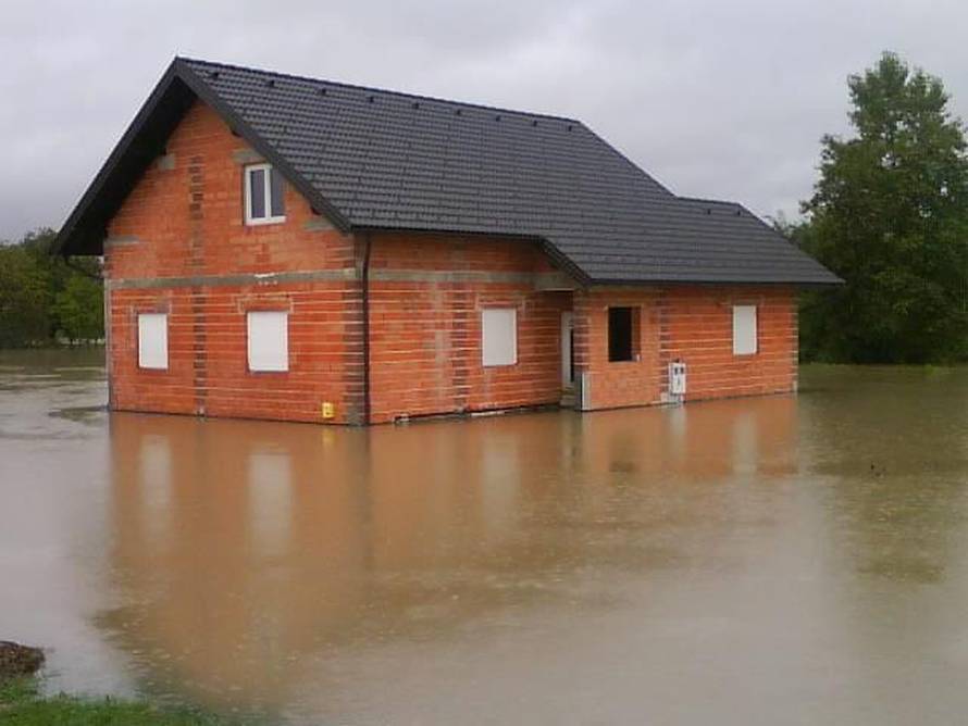 Višnja