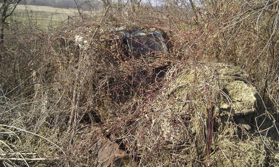 'Tata je bio na rubu da se ubije. Život mu je spasio stari Ford...'