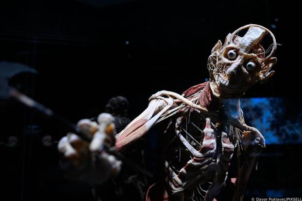 Zagreb: Konferencija uoči otvorenja izložbe seciranih ljudskih tijela Body Worlds Vital