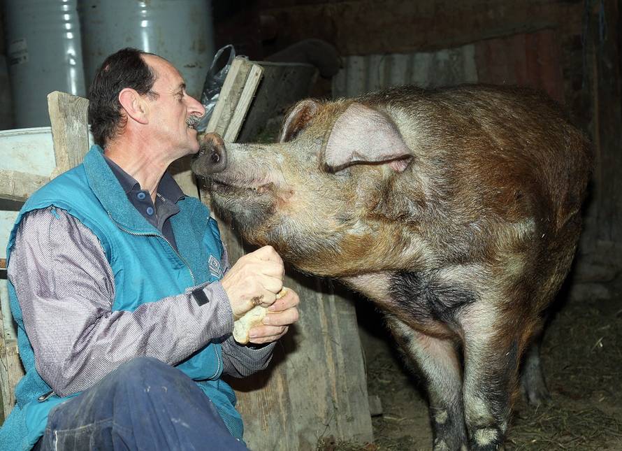 Željko Hladika/24sata