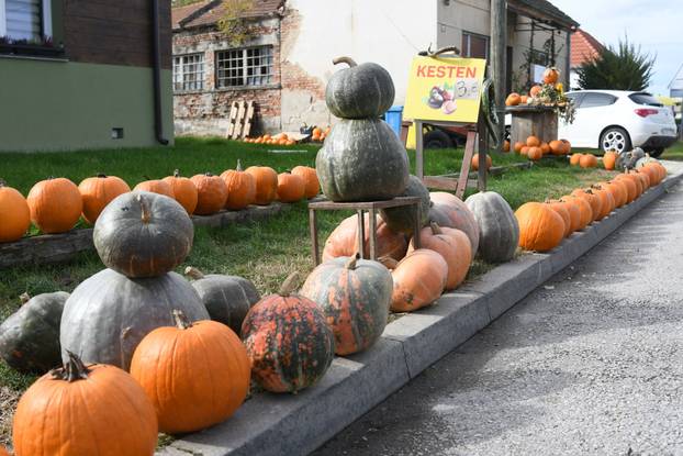 Čukovec: Selo jagoda pretvoreno je u selo bundeva