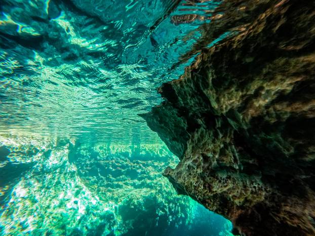 Vela Luka: Podmorje južne strane otoka Korčule