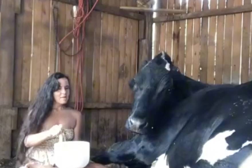 Djevojka je svojoj kravi otpjevala serenadu kako bi se opustila