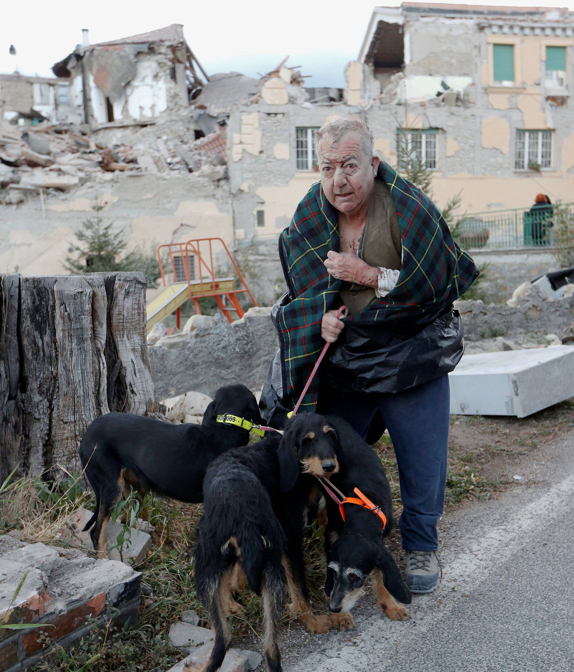 A man stands with dogs following an earthquake in Amatrice