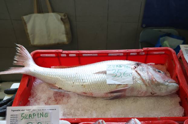 Šibenik: Ponuda na šibenskoj ribarnici