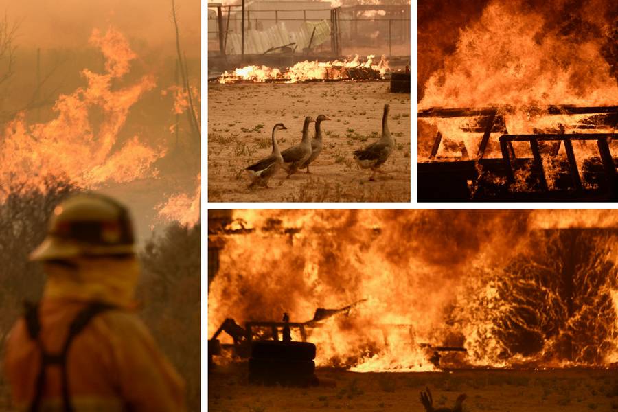 Veliki požar u Kaliforniji: Više od 82.600 ljudi napustilo kuće