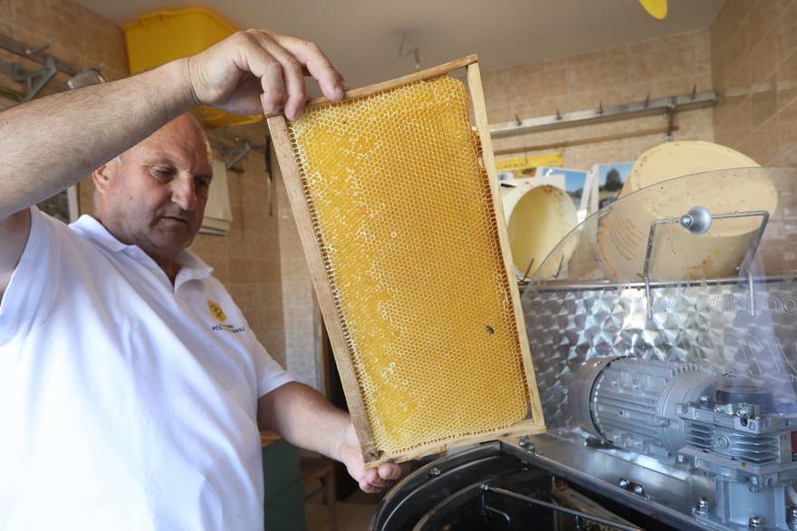 Put od nektara do meda: Pčelar Ante pokazao kako se vrca med