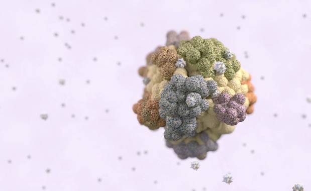 Pronašli 'Ahilovu petu' raka: Uskoro nova metoda liječenja