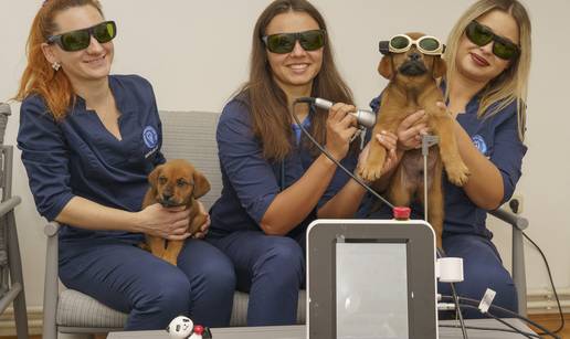 Hitna pomo&cacute;, RTG, kirurgija i de&zcaron;urstvo 0-24 &ndash; evo gdje ljubimci imaju potpunu njegu