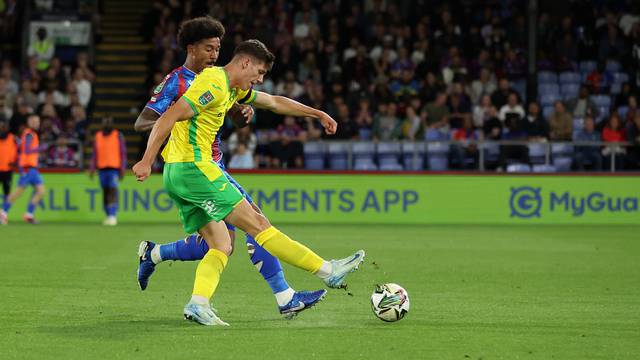 Crystal Palace v Norwich City - Carabao Cup - Second Round - Selhurst Park