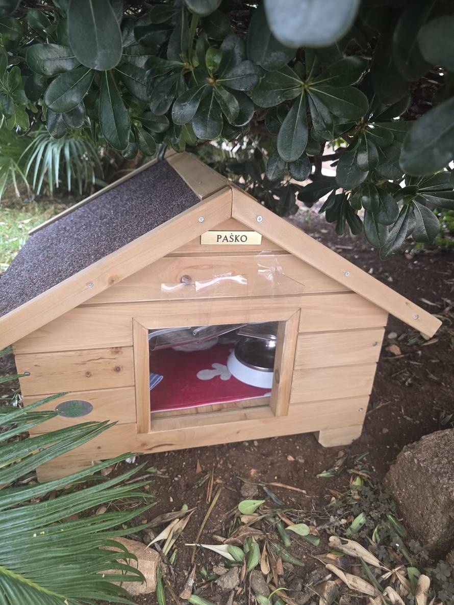 Mačak Paško dobio svoju kućicu ispred šibenske Gradske uprave