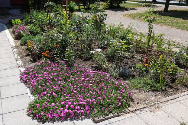 Zagreb: Jasenka Marija Kaštelan ima najljepši vrt na balkonu i ispred zgrade 