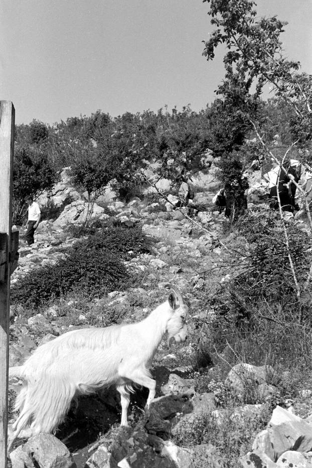 Brojni vjernici na obilježavanju 10. godišnjice ukazanja u Međurgorju, 25.6.1991.