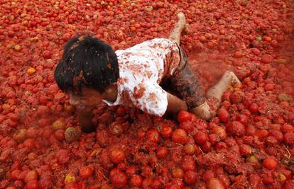 Leti leti rajčica na Tomatini! Čak 4 tone iskoristili u gađanju