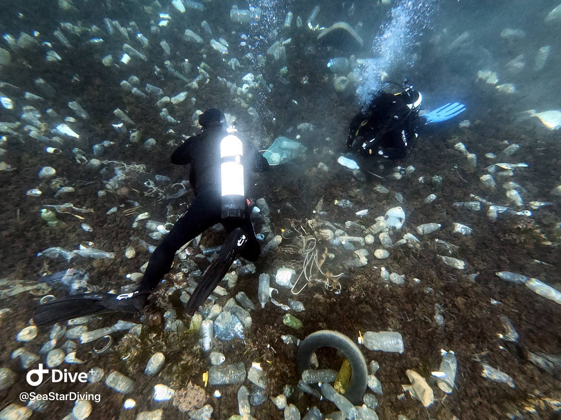 Dramatični prizori: Podmorje nam ubija plastika iz susjedstva