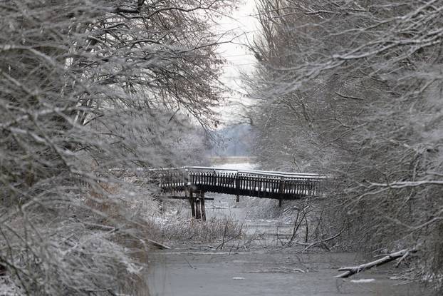Kopački rit: Zimska idila u Baranji 